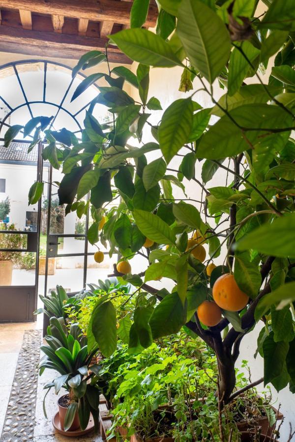 Apartament Mansarda Fogazzaro Vicenza Zewnętrze zdjęcie
